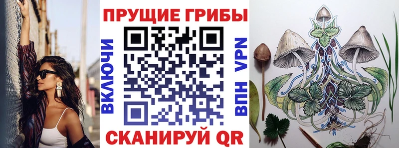 Галлюциногенные грибы Psilocybe Екатеринбург