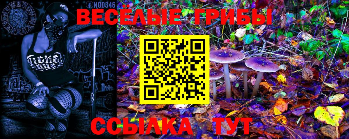 что такое   Псилоцибиновые грибы прущие грибы  Вход с VPN  Екатеринбург  Псилоцибиновые грибы мицелий 